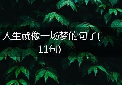 人生就像一场梦的句子(11句)
