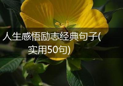 人生感悟励志经典句子(实用50句)