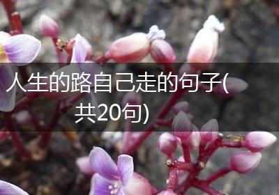 人生的路自己走的句子(共20句)
