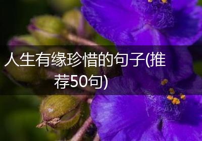 人生有缘珍惜的句子(推荐50句)