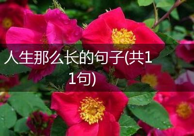 人生那么长的句子(共11句)
