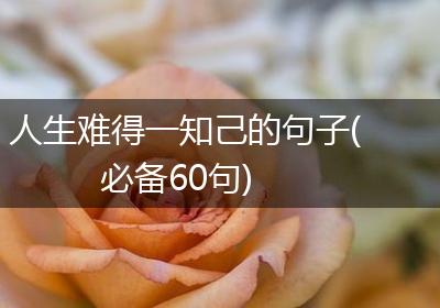 人生难得一知己的句子(必备60句)