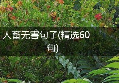 人畜无害句子(精选60句)