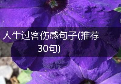 人生过客伤感句子(推荐30句)