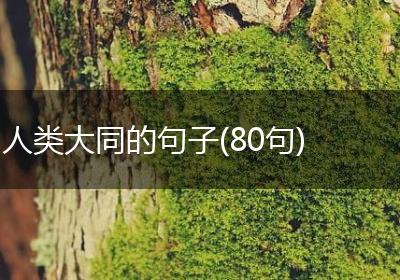 人类大同的句子(80句)