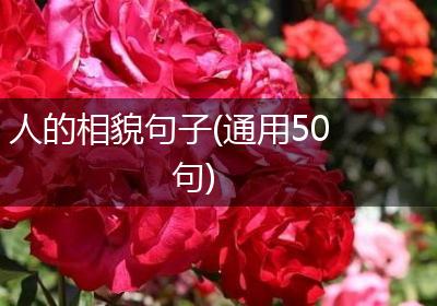 人的相貌句子(通用50句)
