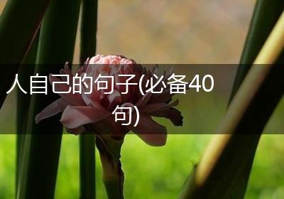 人自己的句子(必备40句)
