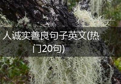 人诚实善良句子英文(热门20句)