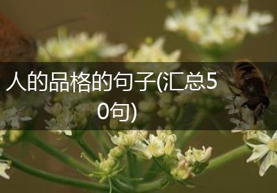 人的品格的句子(汇总50句)