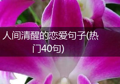 人间清醒的恋爱句子(热门40句)