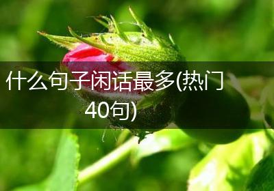 什么句子闲话最多(热门40句)