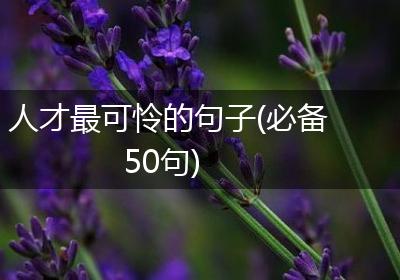 人才最可怜的句子(必备50句)