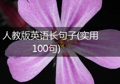 人教版英语长句子(实用100句)
