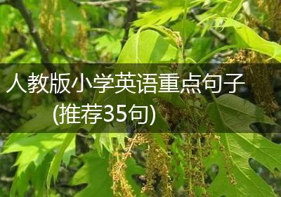 人教版小学英语重点句子(推荐35句)