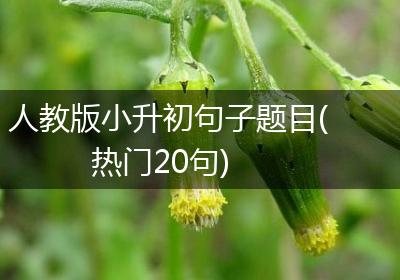 人教版小升初句子题目(热门20句)