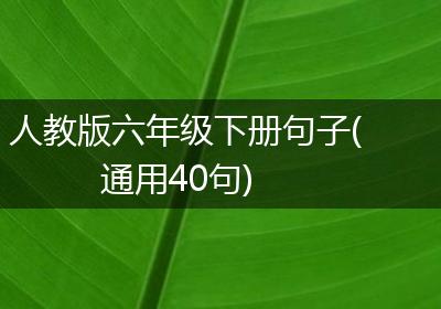 人教版六年级下册句子(通用40句)