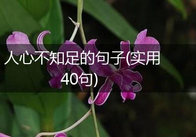 人心不知足的句子(实用40句)