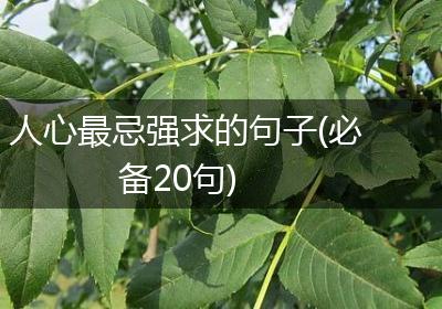 人心最忌强求的句子(必备20句)