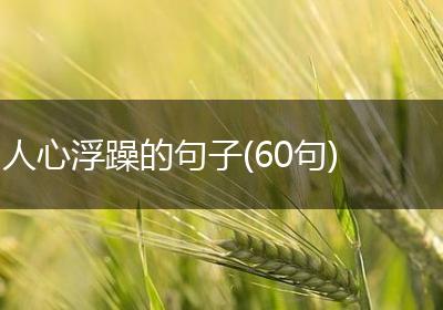 人心浮躁的句子(60句)