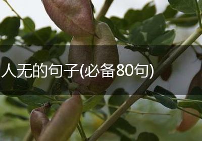 人无的句子(必备80句)