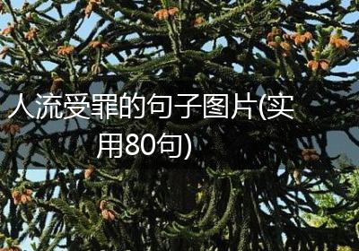 人流受罪的句子图片(实用80句)
