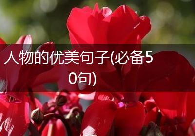 人物的优美句子(必备50句)