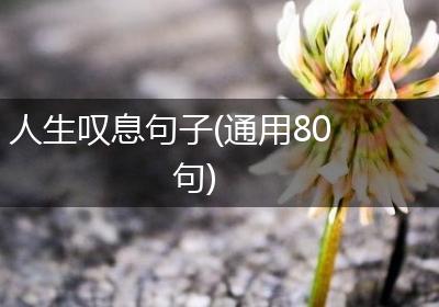 人生叹息句子(通用80句)