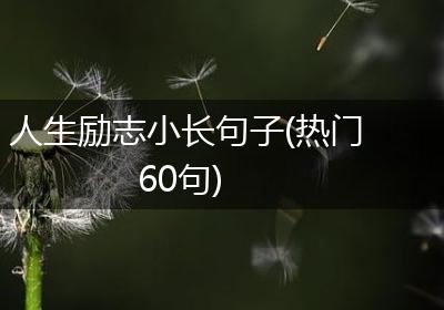 人生励志小长句子(热门60句)
