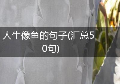 人生像鱼的句子(汇总50句)