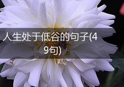 人生处于低谷的句子(49句)