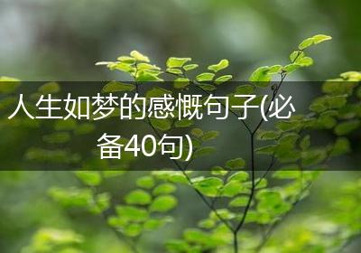 人生如梦的感慨句子(必备40句)