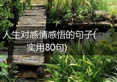 人生对感情感悟的句子(实用80句)