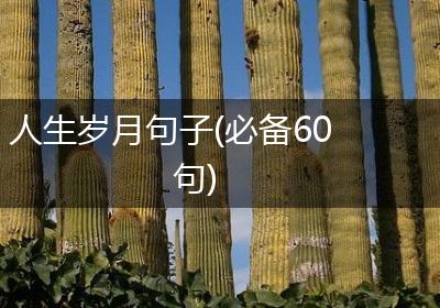 人生岁月句子(必备60句)