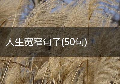 人生宽窄句子(50句)