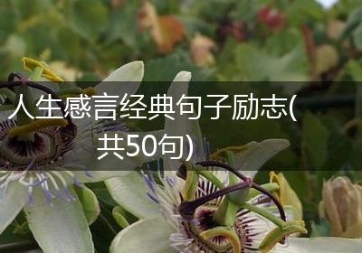人生感言经典句子励志(共50句)