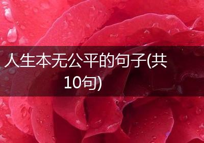 人生本无公平的句子(共10句)