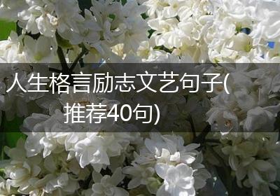 人生格言励志文艺句子(推荐40句)