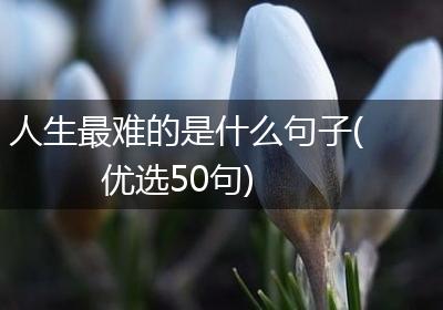 人生最难的是什么句子(优选50句)