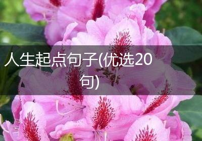 人生起点句子(优选20句)