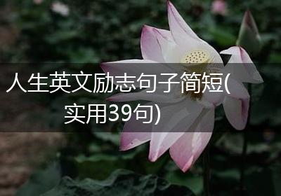 人生英文励志句子简短(实用39句)