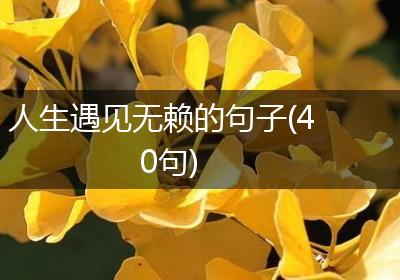 人生遇见无赖的句子(40句)