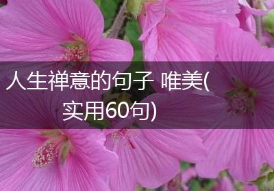 人生禅意的句子 唯美(实用60句)