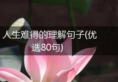 人生难得的理解句子(优选80句)
