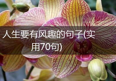 人生要有风趣的句子(实用70句)