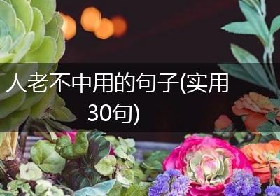 人老不中用的句子(实用30句)