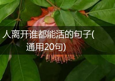 人离开谁都能活的句子(通用20句)