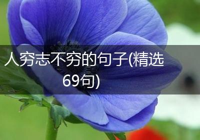 人穷志不穷的句子(精选69句)