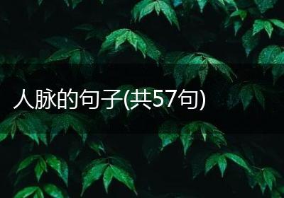 人脉的句子(共57句)