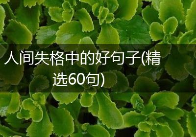 人间失格中的好句子(精选60句)