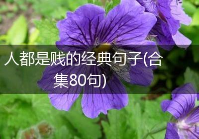 人都是贱的经典句子(合集80句)